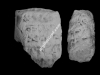 N_102_FA