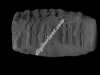 N_107_SC