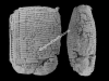 N_133_RE