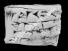 N_144_FA