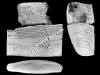 N_161_RE