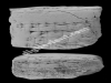 N_201_RE