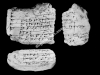 N_216_FA