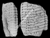 N_225_FA