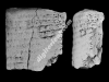 N_227_FA