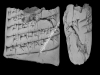 N_236_FA