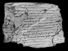 N_237_FA