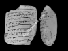 N_238_FA