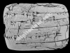 N_246_FA