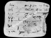 N_255_FA