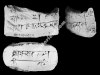 N_258_FA