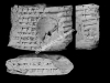 N_261_FA