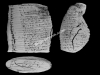 N_263_FA