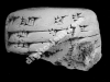 N_273_FA