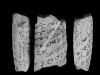 N_275_FA