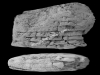 N_283_FA