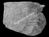 N_283_RE