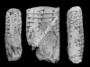 N_284_FA