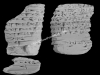 N_287_FA